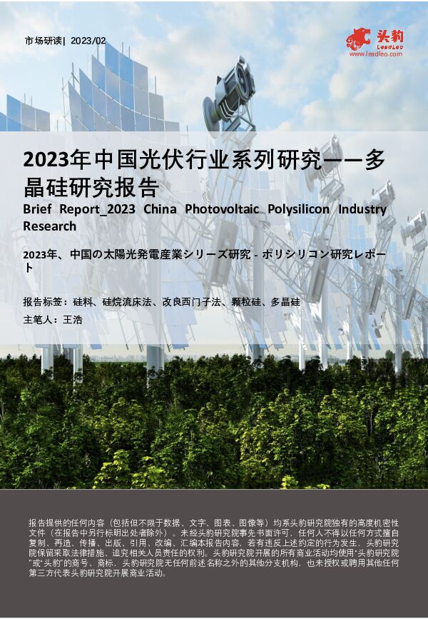2023年中国光伏行业系列研究——多晶硅研究报告 头豹研究院 2023-06-12（23页） 附下载