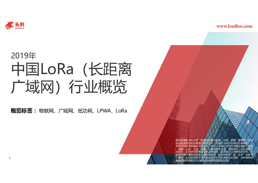 2019年中国LoRa（长距离广域网）行业概览 头豹研究院 2020-07-24