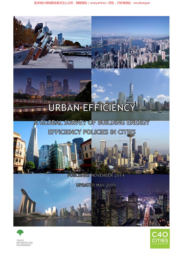 城市效率：全球城市建筑节能政策调查（英文版）