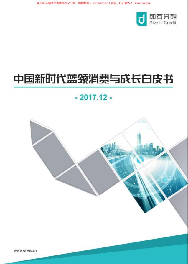 2017中国新时代蓝领消费与成长白皮书