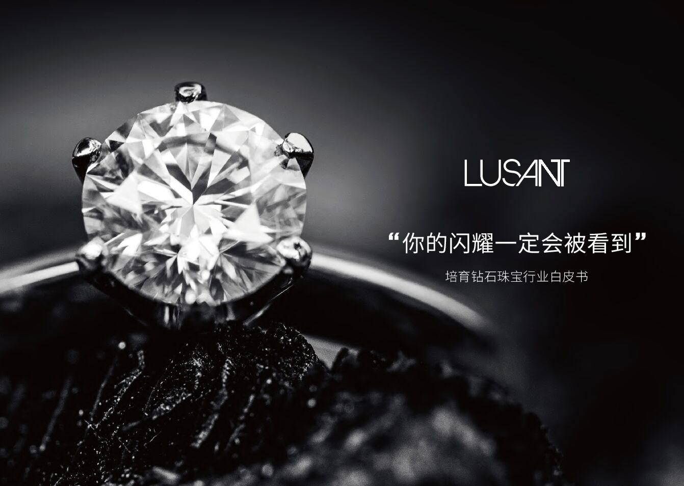 2023培育钻石珠宝行业白皮书-LUSANT