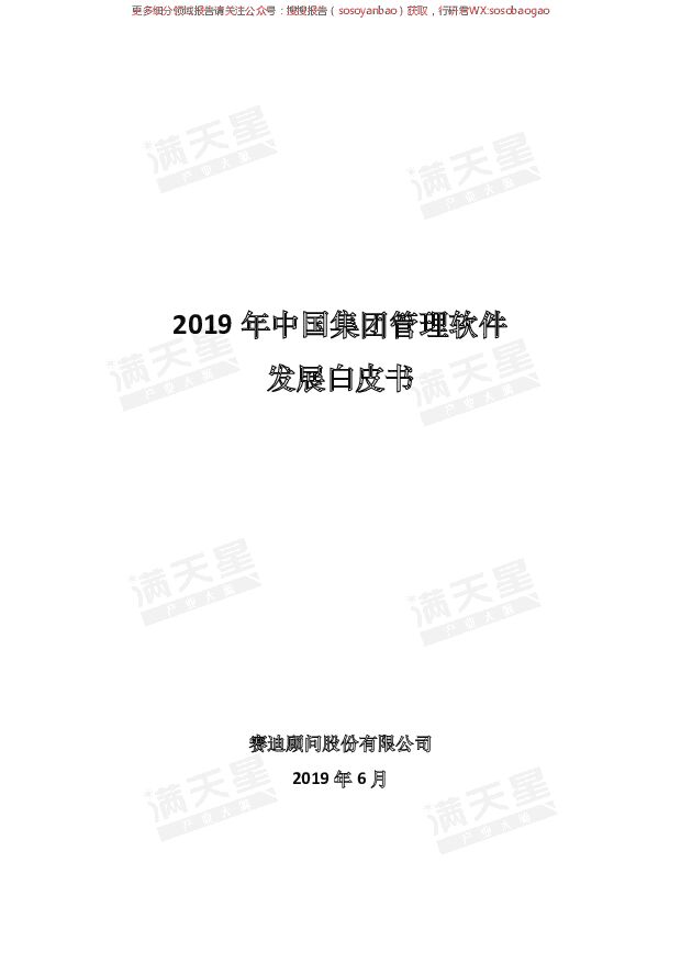 2019年中国集团管理软件发展白皮书