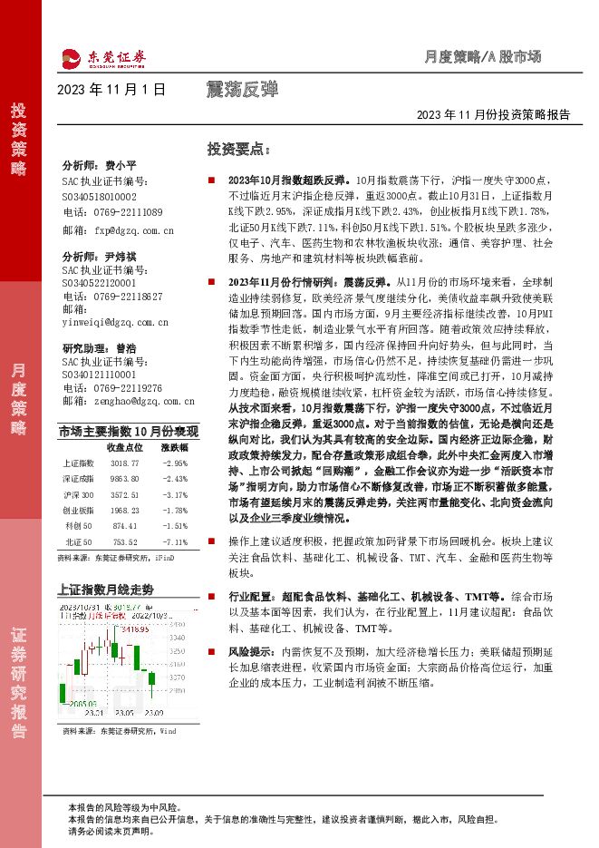 2023年11月份投资策略报告：震荡反弹 东莞证券 2023-11-01（14页） 附下载
