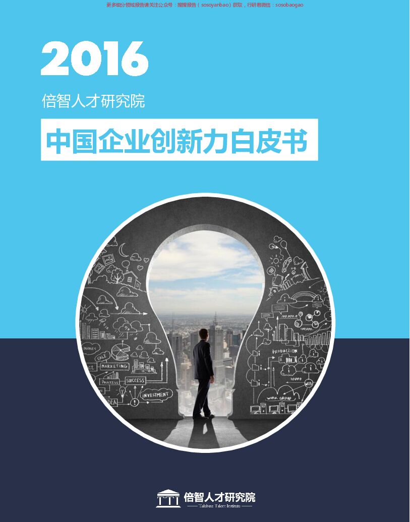 2016中国企业创新力白皮书 附下载