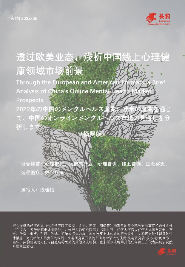 透过欧美业态，浅析中国线上心理健康领域市场前景（摘要版） 头豹研究院 2022-06-23 附下载