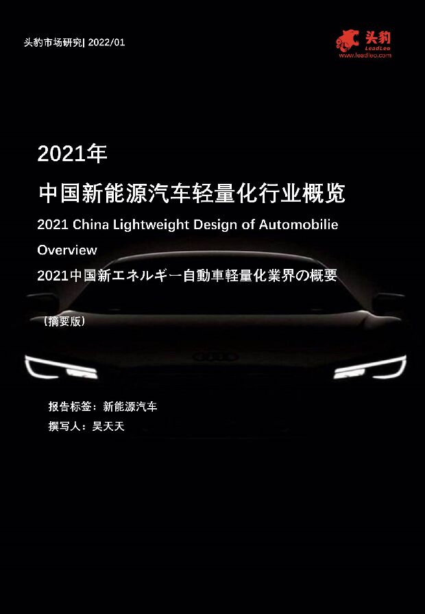 2021年中国新能源汽车轻量化行业概览（摘要版） 头豹研究院 2022-02-21 附下载