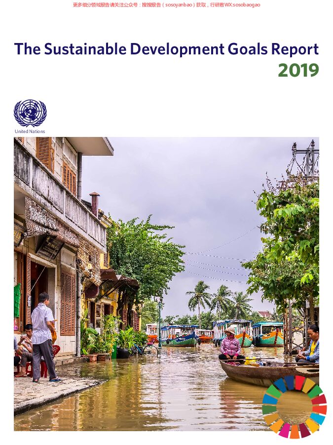 2019年可持续发展目标报告（英文版）