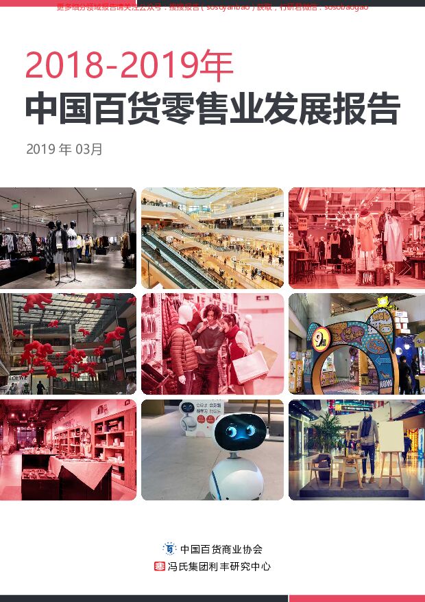 2018-2019年中国百货零售业发展报告