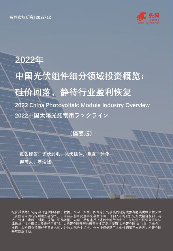 2022年中国光伏组件细分领域投资概览：硅价回落，静待行业盈利恢复（摘要版） 头豹研究院 2023-05-04（8页） 附下载