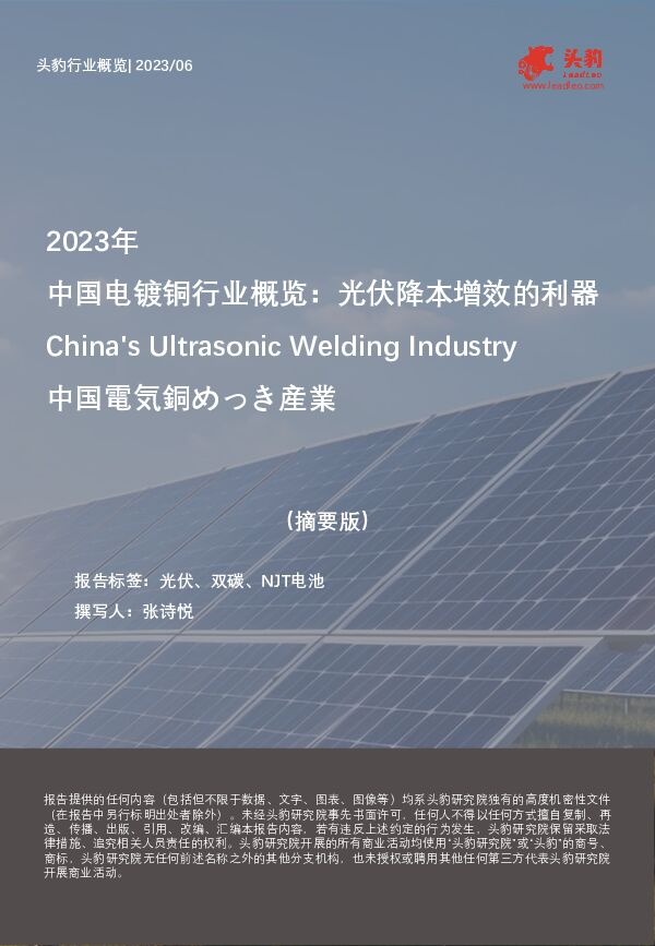 2023年中国电镀铜行业概览：光伏降本增效的利器（摘要版） 头豹研究院 2023-11-30（10页） 附下载