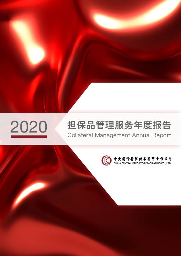 2020担保品管理服务年度报告 中债登公司 2021-01-26
