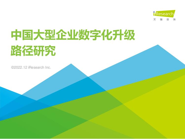 中国大型企业数字化升级路径研究 艾瑞股份 2022-12-28 附下载