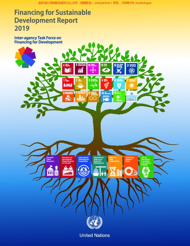 2019年可持续发展融资报告（英文版）