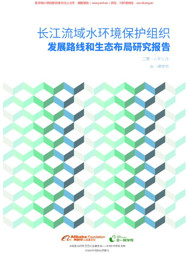 长江流域水环境保护组织发展路线和生态布局研究报告