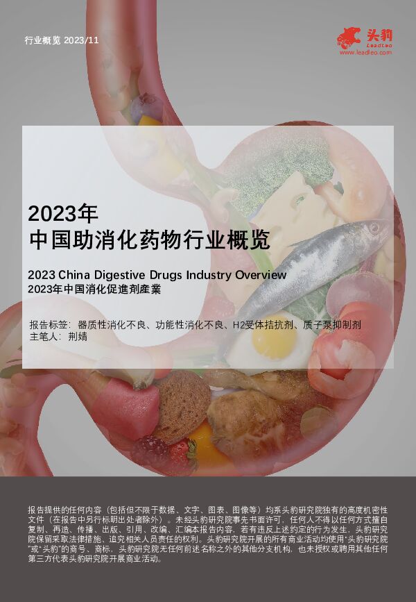 2023年中国助消化药物行业概览 头豹研究院 2024-03-21（25页） 附下载
