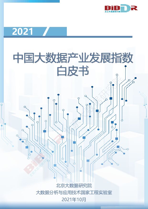 2021中国大数据产业发展指数白皮书 附下载