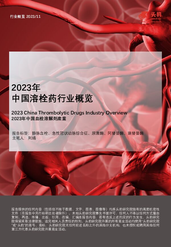 2023年中国溶栓药行业概览 头豹研究院 2024-03-08（25页） 附下载