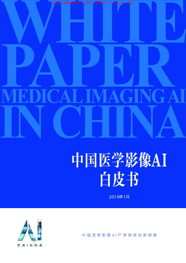 动脉网-中国医学影像AI白皮书-2019.3-42页
