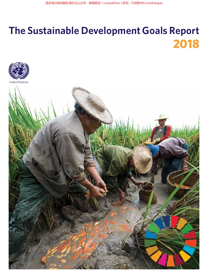 2018年可持续发展目标报告（英文版）